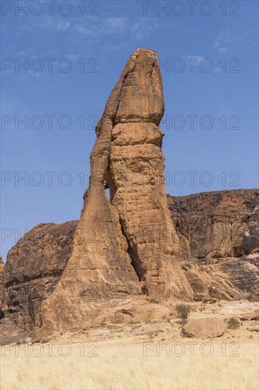 Rock needle