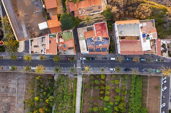 Houses and plantations from above