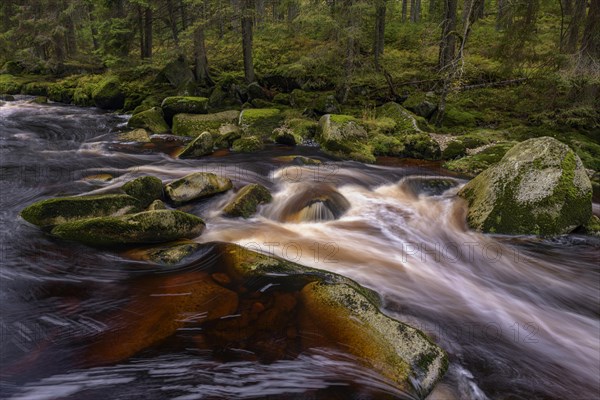 Autumn at the Vydra with huge boulders in the riverbed