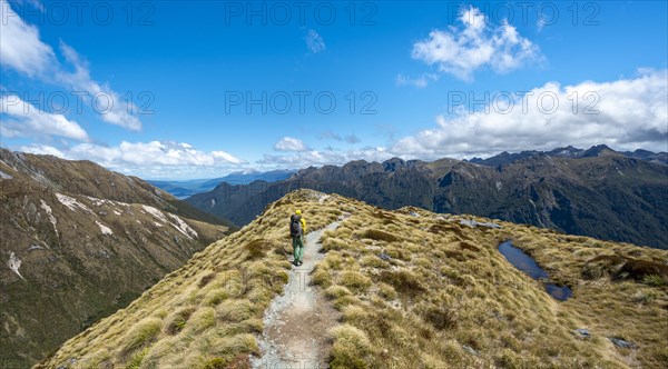 Hikers on hiking trail