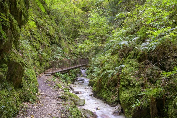 Footbridge in the Rastenbachklamm