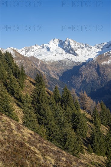 Mountain landscape at the Padauner Kogel