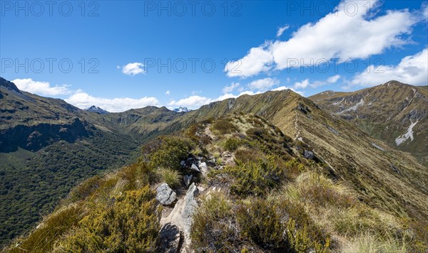 Kepler Track hiking trail