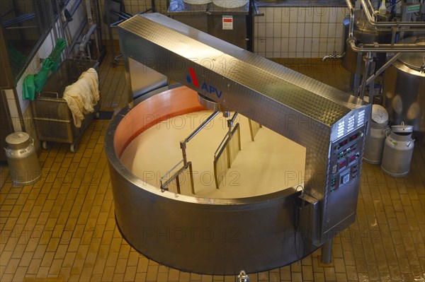 Large cheese maker with knife harps