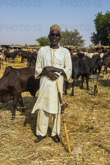 Proud cattle farmer on the animal market