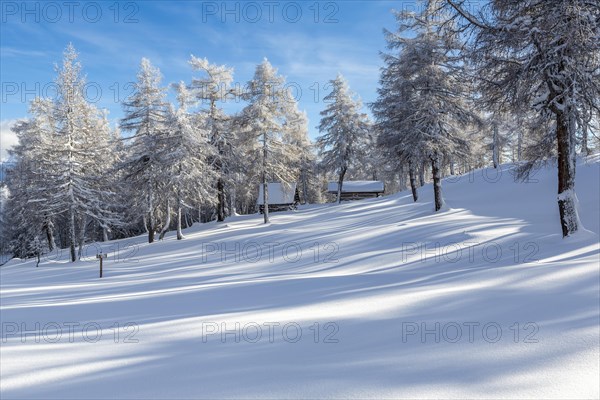 Winter landscape