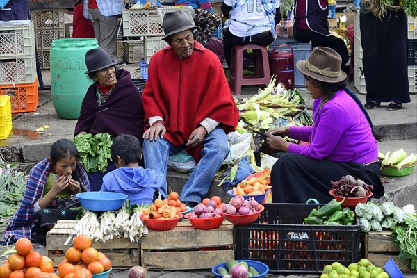 Sales stand with vegetables at the weekly market market