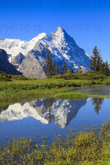 Eiger