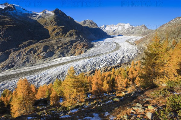 Great Aletsch Glacier and Wannenhorns