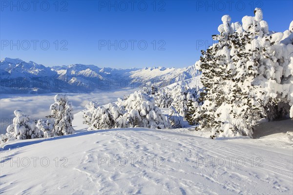 Bernese Alps