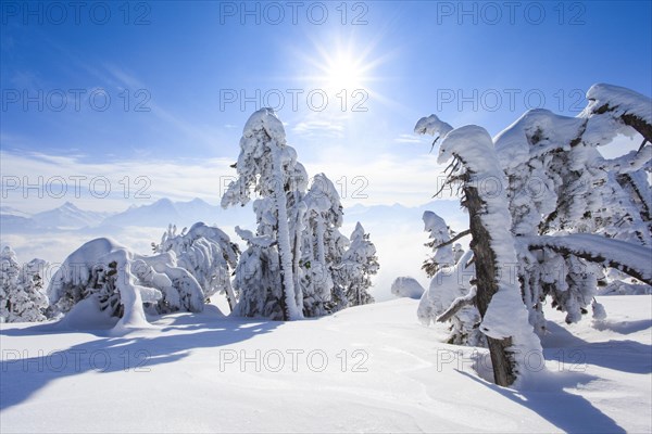 Bernese Alps