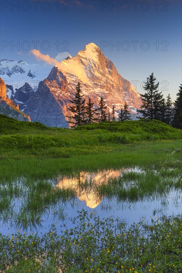 Grosse Scheidegg Passhoehe