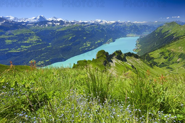 Brienzer Rothorn