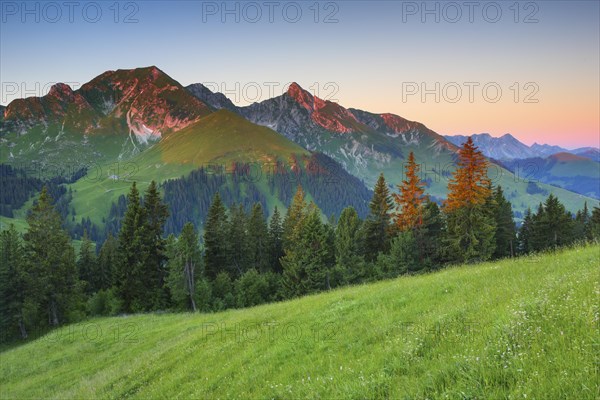 Swiss Pre-Alps at Gurnigel Pass