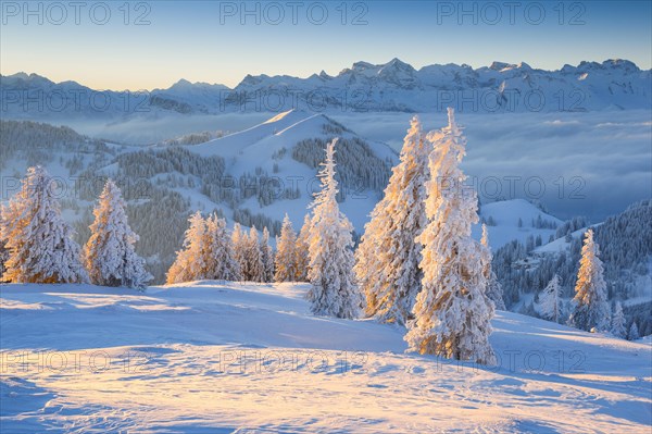 View of the Glarus Alps and Uri Alps with Bristen