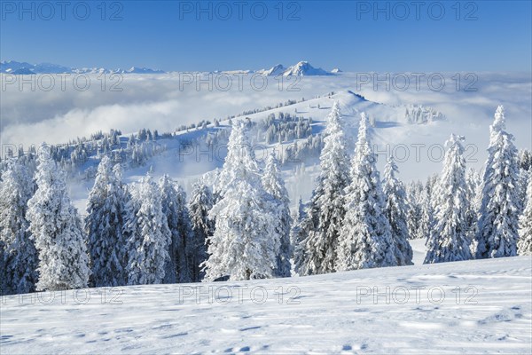 Bernese Alps and Pilatus