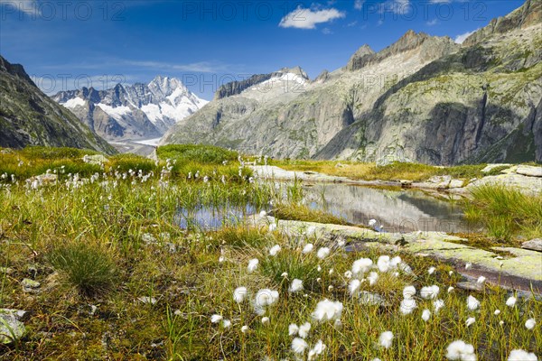 Swiss Alps in autumn