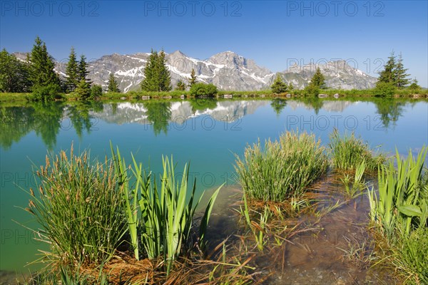 Lake Haerzli with view of Rotsandnollen