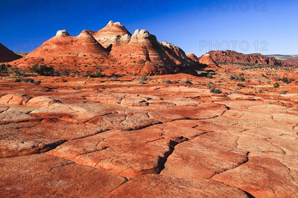 Coyote Buttes North