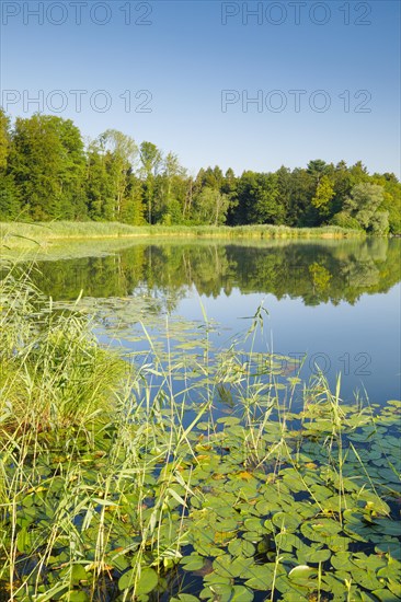 Burgaeschisee