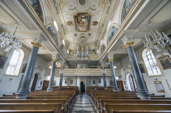 Organ gallery