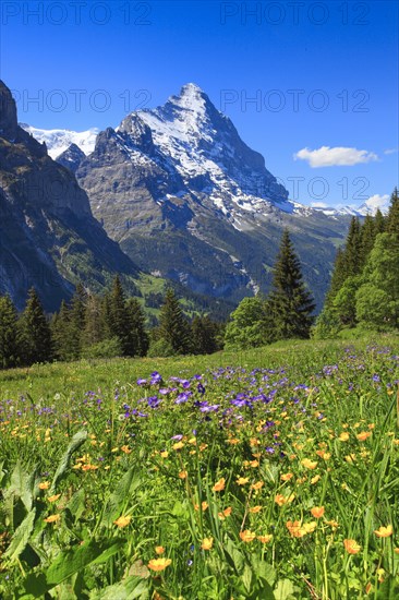 Eiger