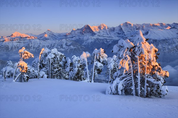 Bernese Alps