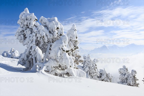 Bernese Alps