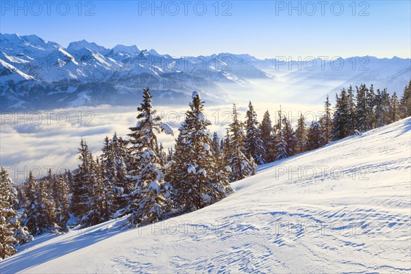 Bernese Alps