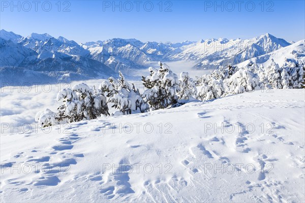 Bernese Alps with view over Kandertal with Niesen