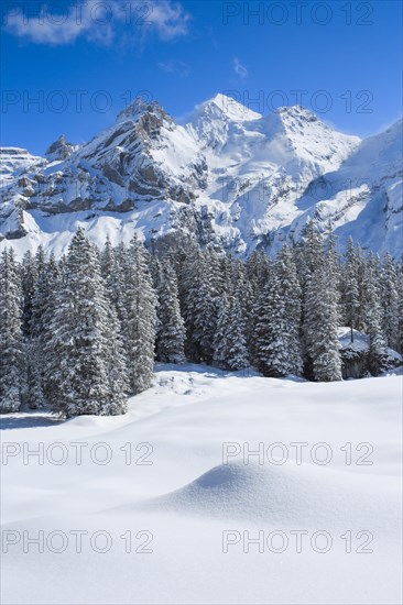 Blueemlisalp Rothorn