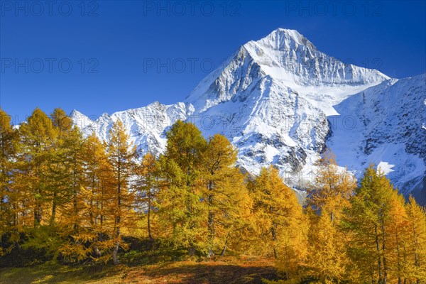 Bietschhorn