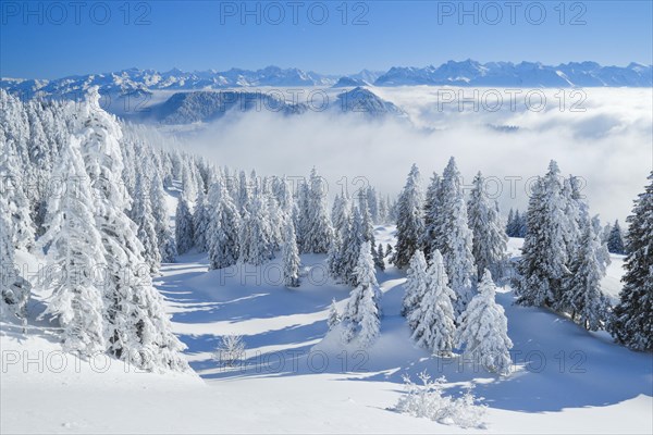 View from the Rigi