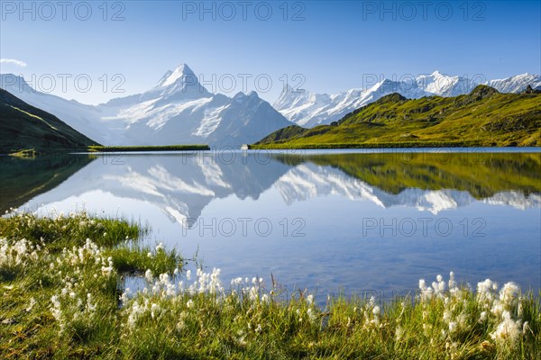 Bachalpsee