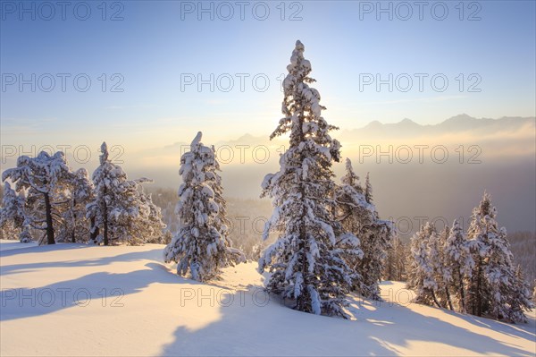 Bernese Alps