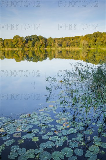 Burgaeschisee