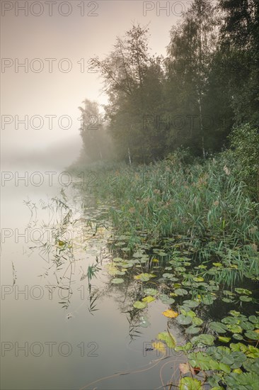 Burgaeschisee