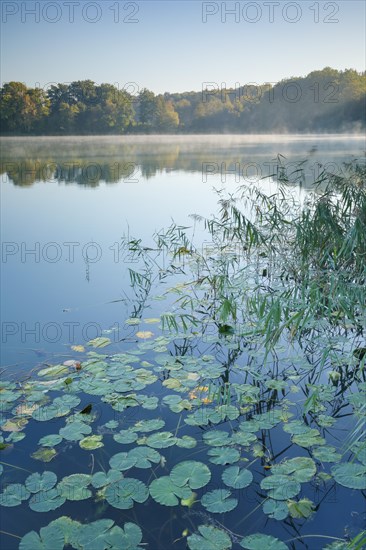 Burgaeschisee