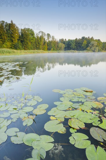 Burgaeschisee