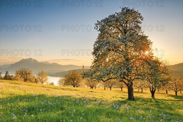 View of Pilatus and Lake Lucerne