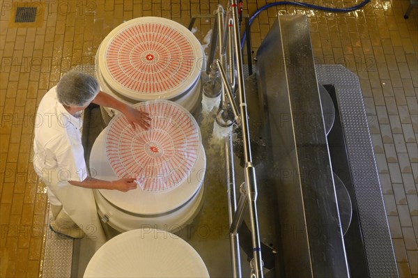 Cheese maker puts label Emmentaler on the cheese press mould