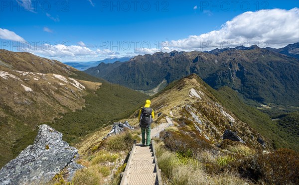 Hikers on hiking trail