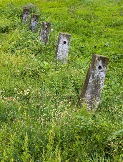 Concrete pillar in the meadow