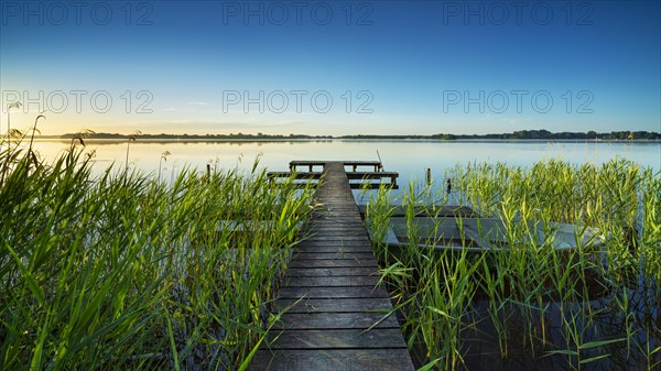 Morning atmosphere at the Schaalsee