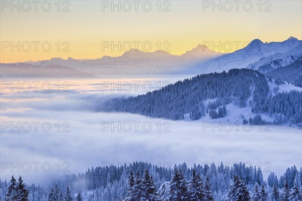 Swiss Alps and Pre-Alps with Schreckhorn