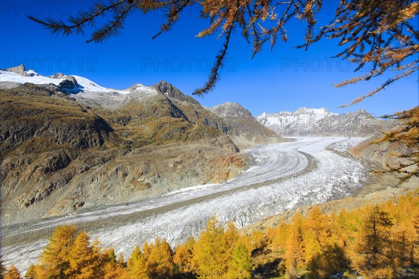 Great Aletsch Glacier and Wannenhorns