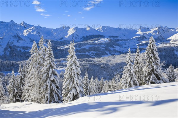 Central Swiss Alps