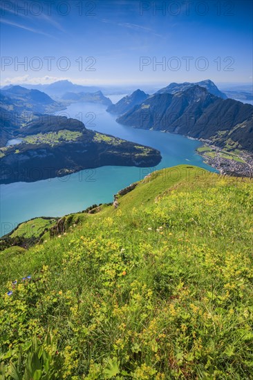 View from Fronalpstock