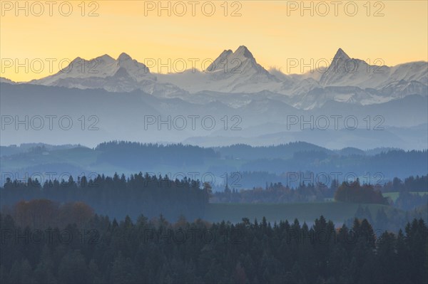 View Emmental