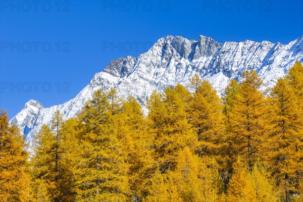 Aletschhorn and Schinhorn